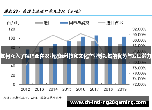 如何深入了解巴西在农业能源科技和文化产业等领域的优势与发展潜力