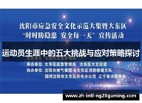 运动员生涯中的五大挑战与应对策略探讨