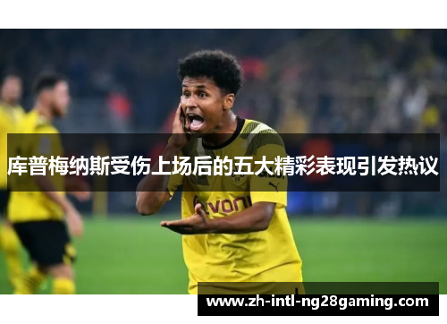 库普梅纳斯受伤上场后的五大精彩表现引发热议