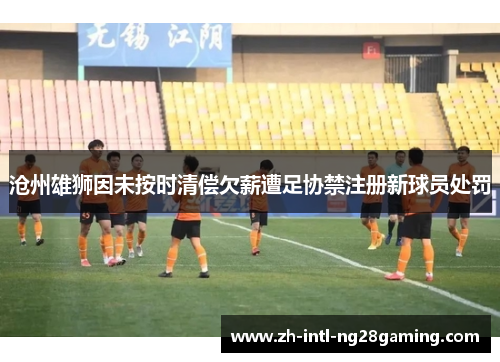 沧州雄狮因未按时清偿欠薪遭足协禁注册新球员处罚