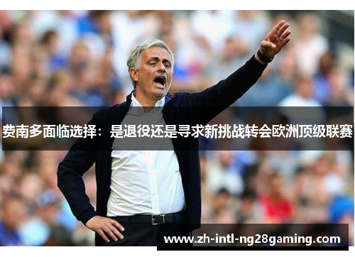 费南多面临选择：是退役还是寻求新挑战转会欧洲顶级联赛